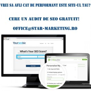 AUDIT-de-seo