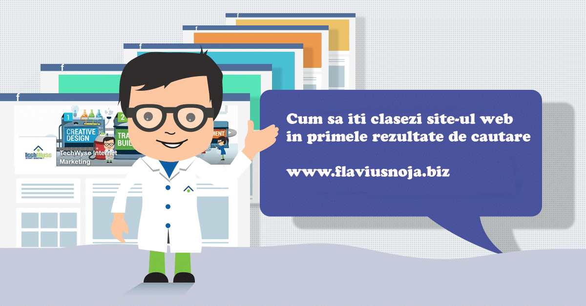 optimizare site timisoara flavius