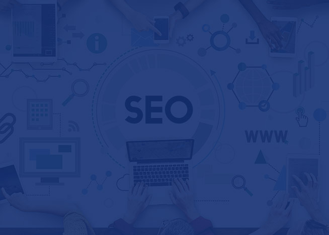 servicii profesionale de SEO